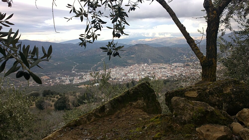 Hospederia Locubin — hotel in Castillo De Locubin