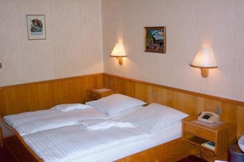 Hotel Waldesruh — Georgsmarienhuette — photo 3