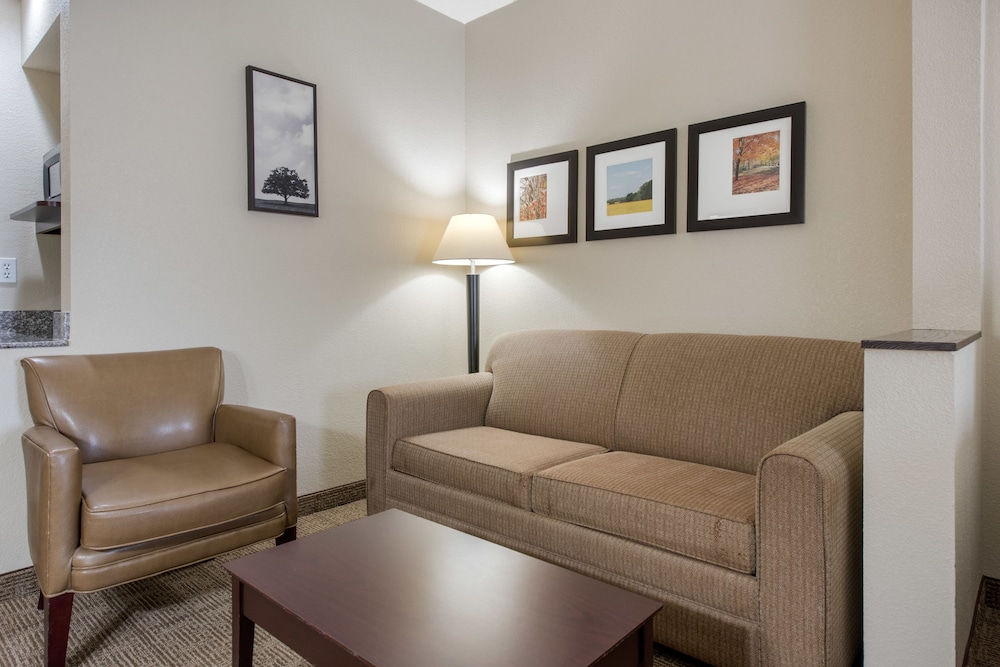 Comfort Suites Lafayette University Area - photo 12