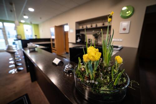 Garni hotel Svitavy — Svitavy — photo 5