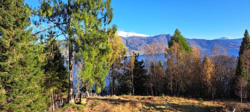 Vesletun — Balestrand — photo 4
