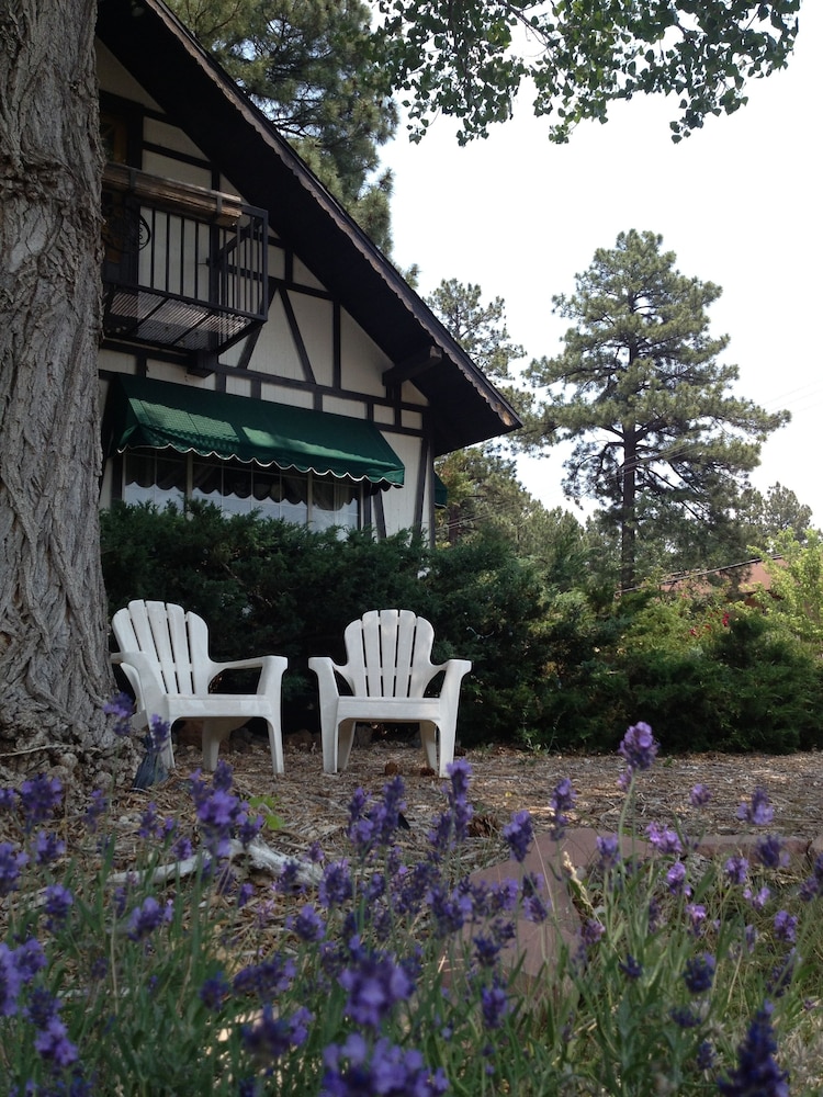 Mountain Haven Inn - photo 46
