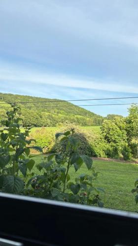 Logement Route de Vins — hotel in Boersch