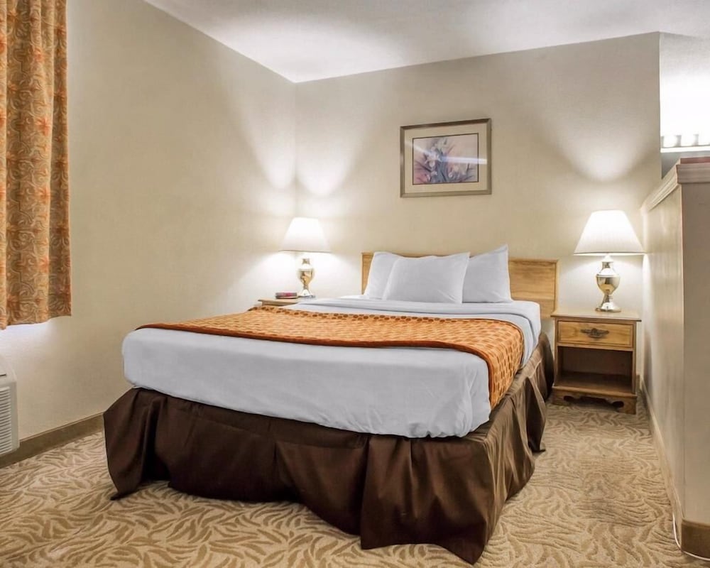 Econo Lodge Inn and Suites Stevens Point WI - photo 4