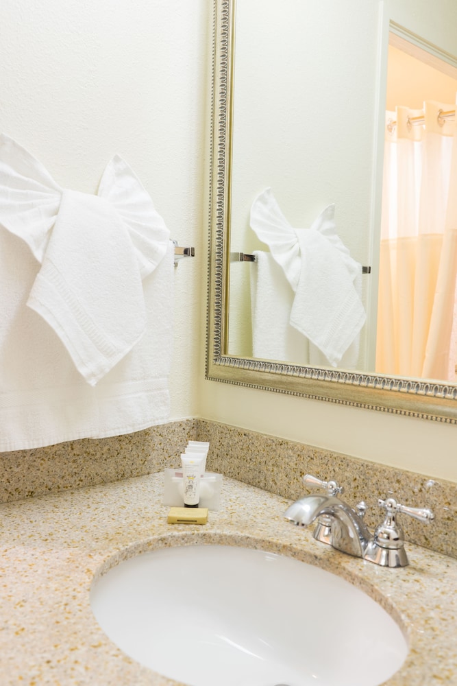 Oakland Airport Executive Hotel - photo 30