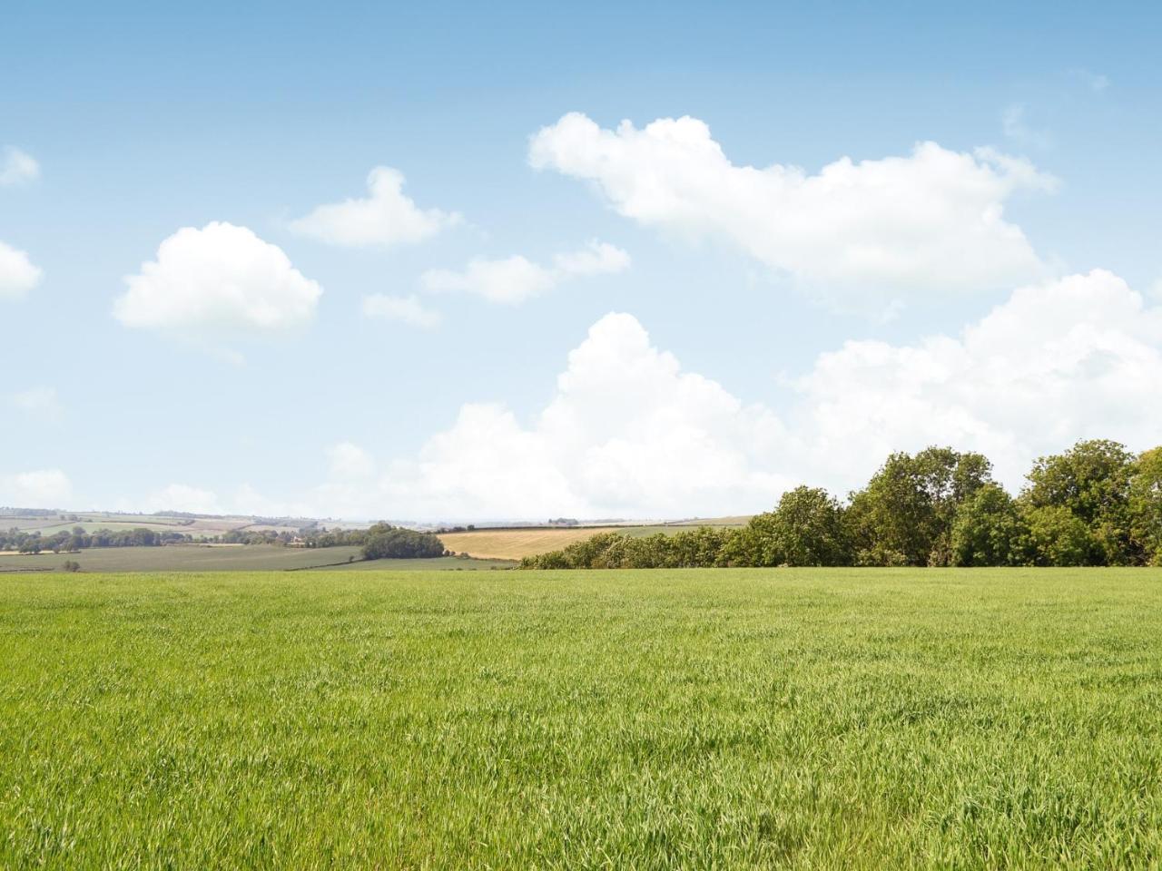 Just Jane’s Hangout in Spilsby, United Kingdom