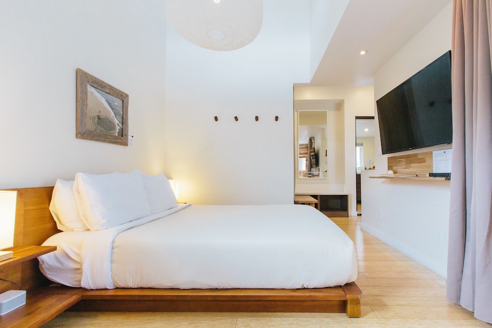 Inn at Moonlight Beach - photo 21