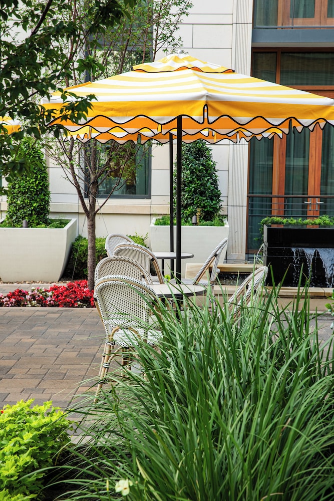La Colombe d'Or Hotel - photo 156