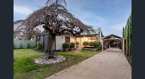 The Weeping Elm Large and Spacious in Albury, Australia