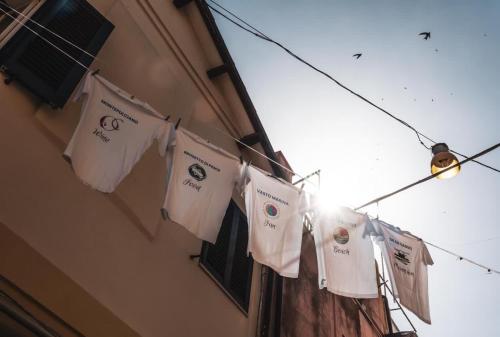 Transumare — Vasto — photo 5