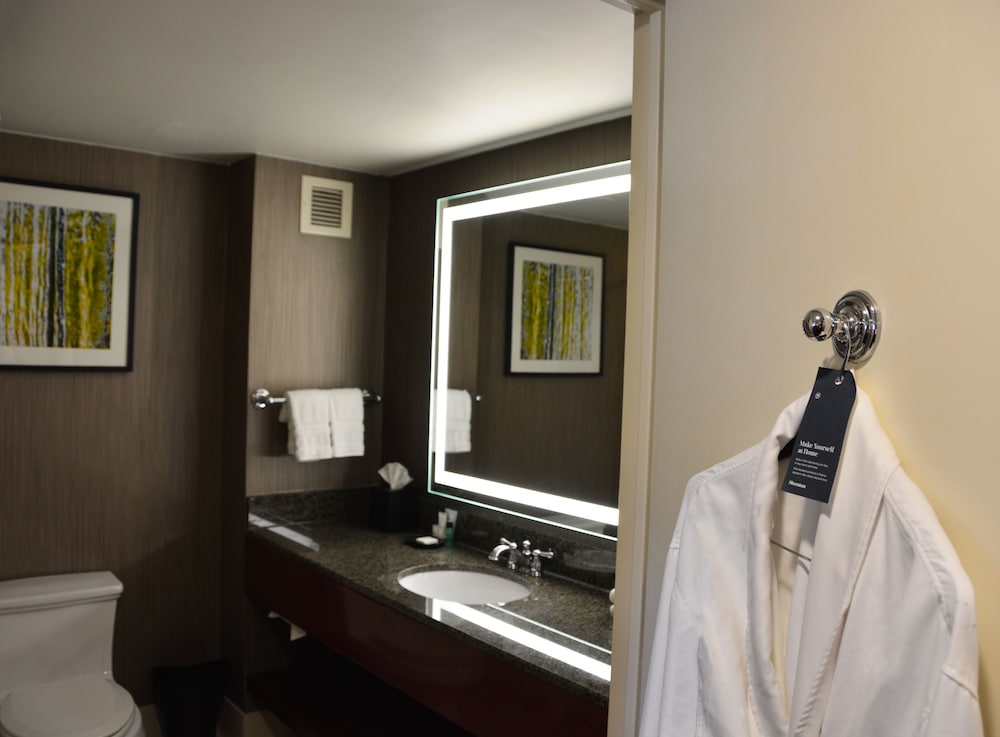 Sheraton Agoura Hills Hotel - photo 12