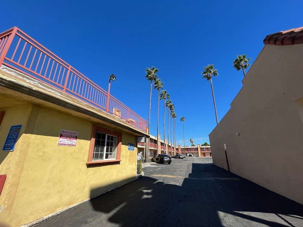 Palm Tree Inn - photo 8