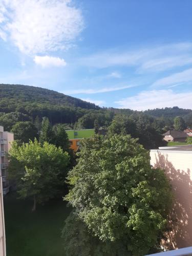 Weitblick — 4-Star Luxury Hotel in Bad Harzburg, Germany