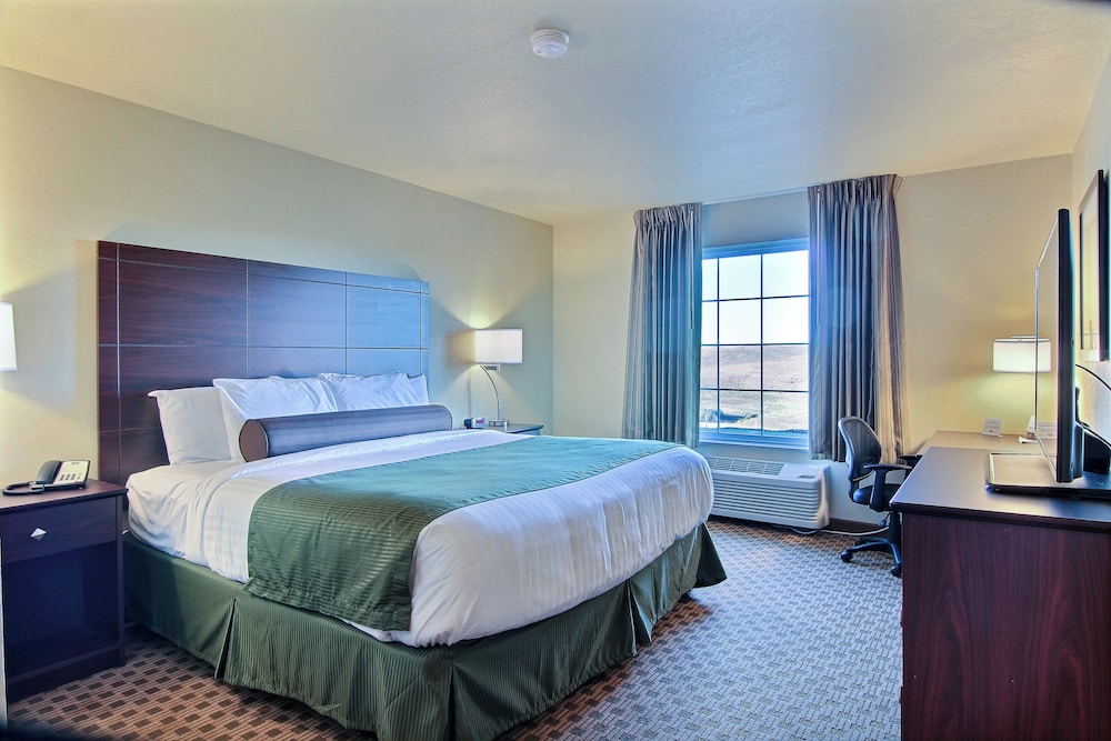 Cobblestone Hotel & Suites Beulah - photo 14