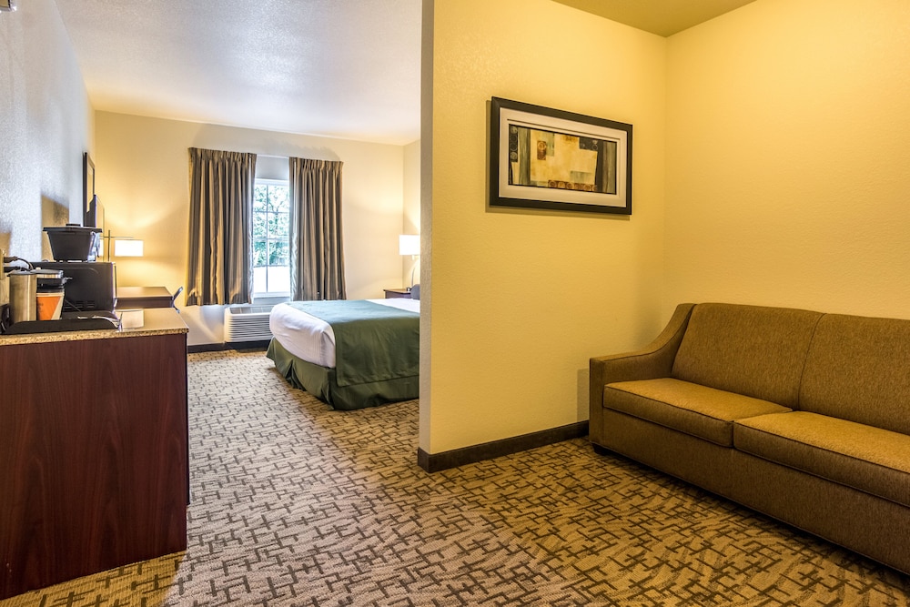 Cobblestone Hotel & Suites Greenville - photo 18