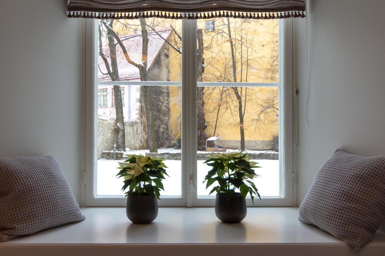 Exclusive Charm of the Old Tallinn