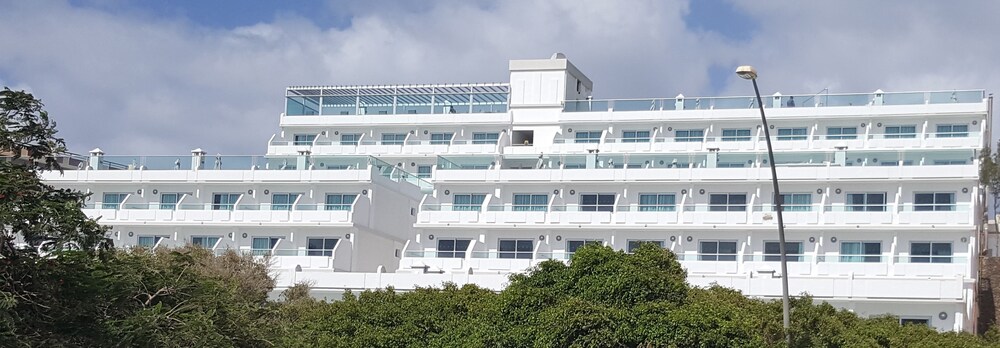 Fergus Cactus Garden in Pajara, Spain