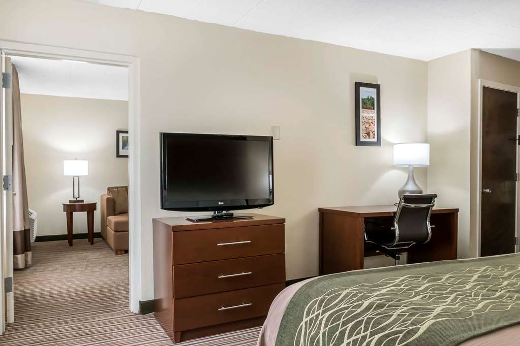 Comfort Inn Pocono Mountains - photo 17