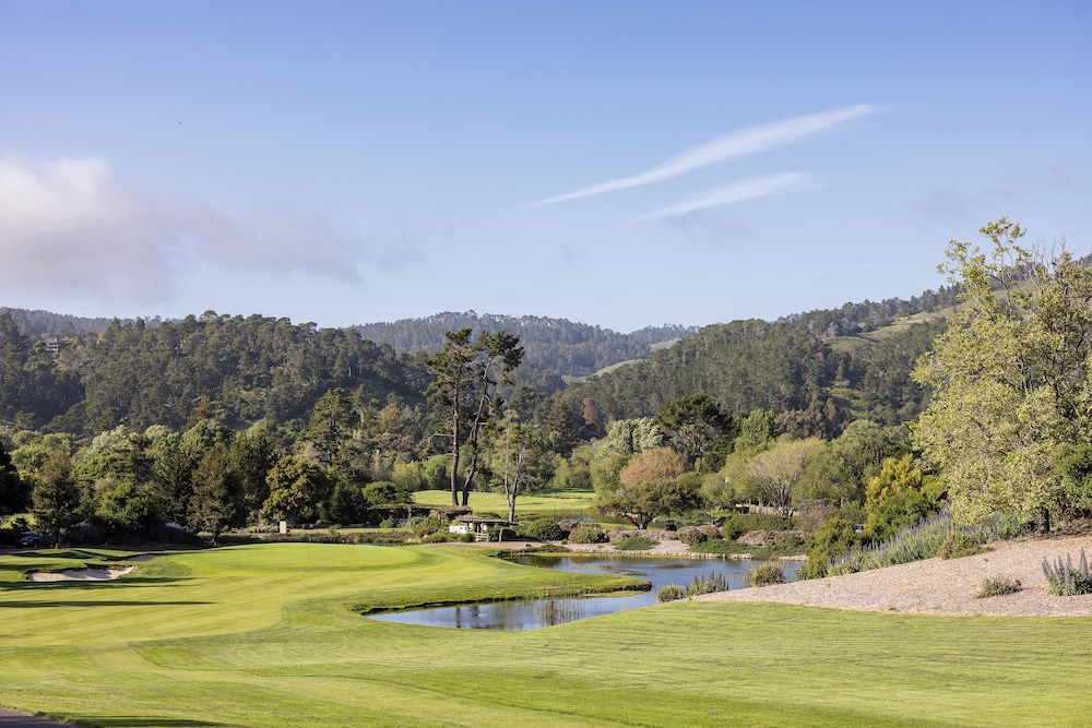The Quail - photo 81
