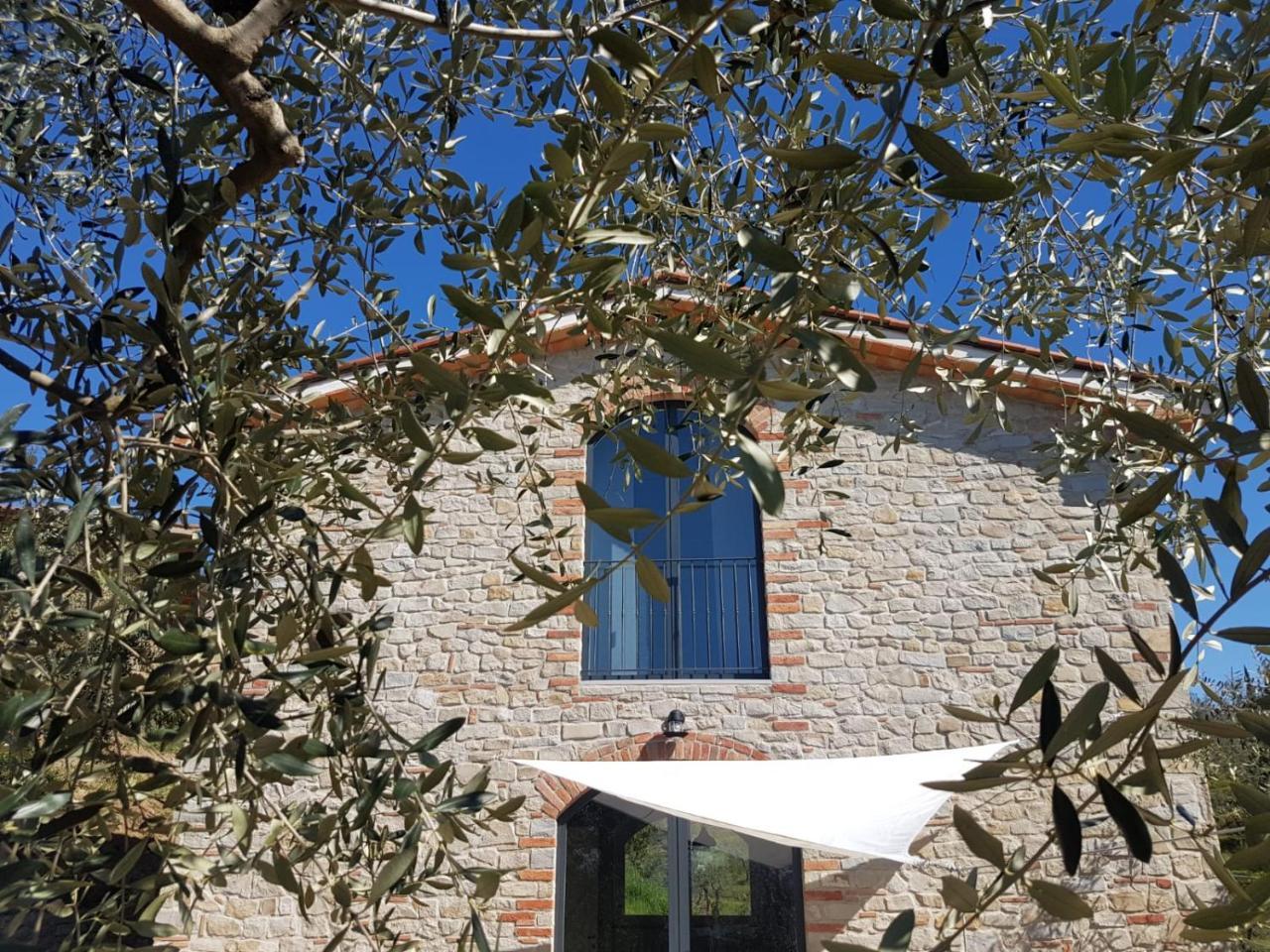 Il Fienile de la Cavallina — hotel in Larciano