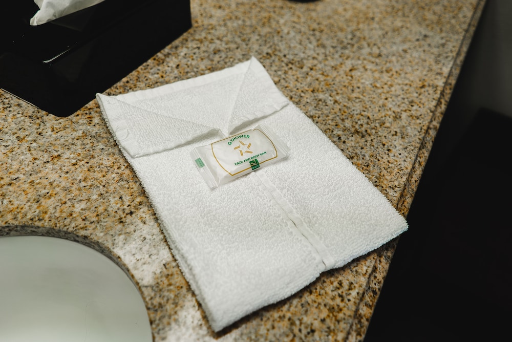 Quality Inn & Suites Monticello - photo 39