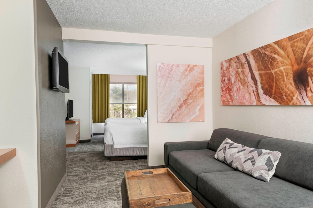 SpringHill Suites by Marriott Asheville - photo 10