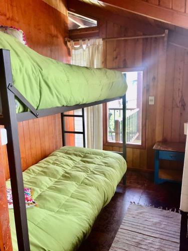Hostel Raíz — Pucon — photo 2