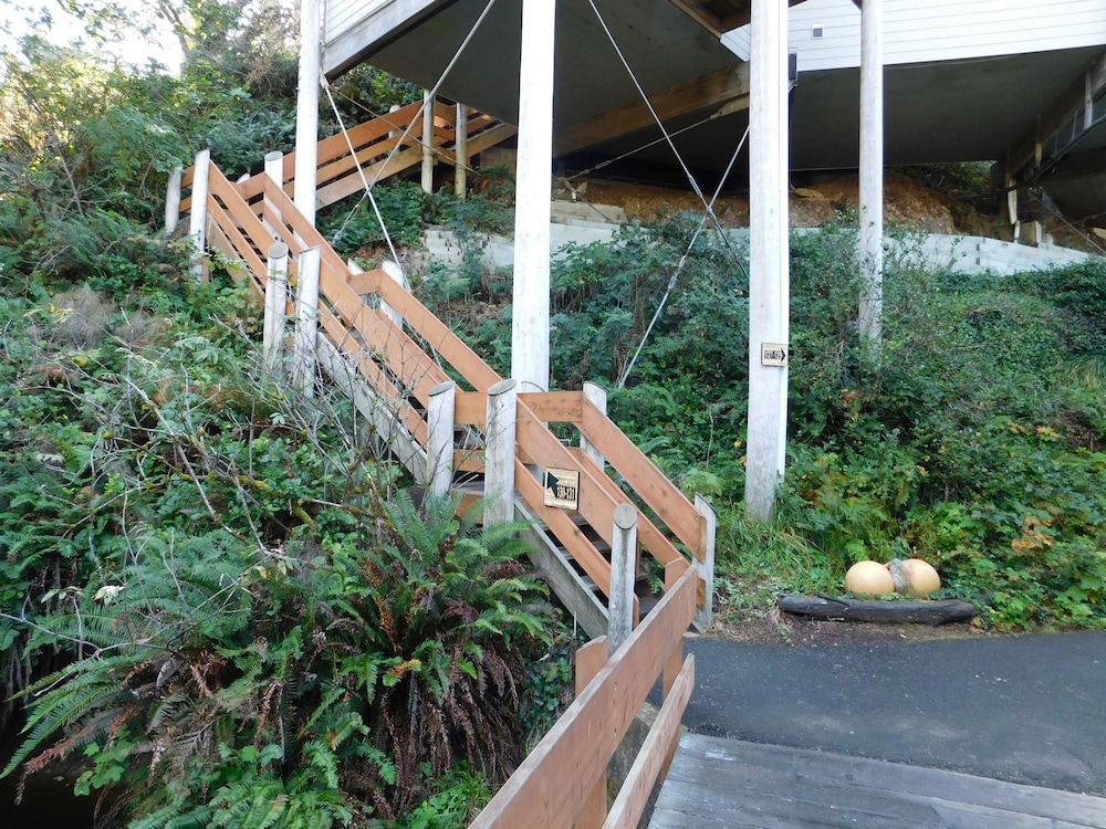 Little Creek Cove Beachfront Resort - photo 3