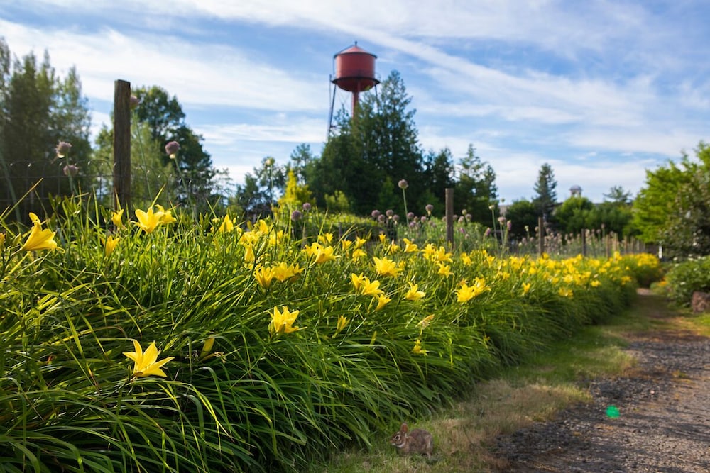 McMenamins Edgefield - photo 112