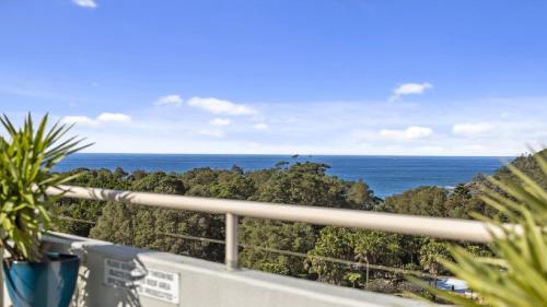 Penthouse 3804 Rooftop Spa Oceanview Beach — Coffs Harbour — photo 2