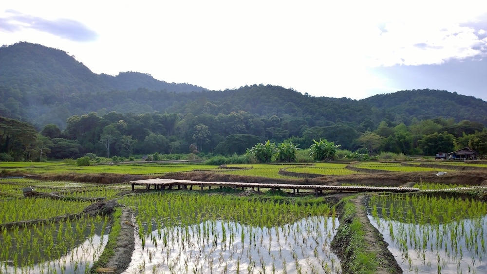 Bulun Buri Resort - carbon neutral hotel in Hang Dong