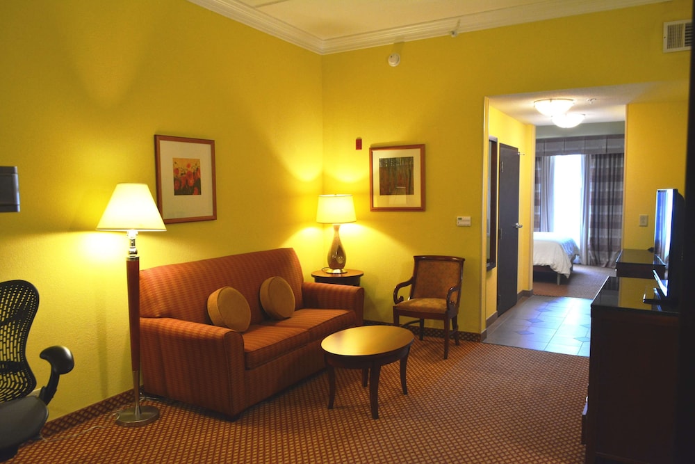 Hilton Garden Inn Houston West Katy - photo 31