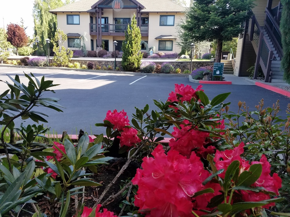 Redwood Garden Inn - photo 18
