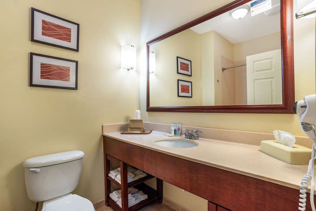 Comfort Inn & Suites Crestview South - photo 19