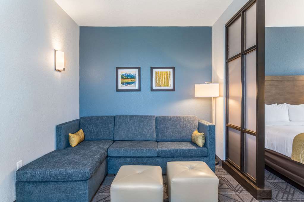 Comfort Inn & Suites Salt Lake City Airport - photo 54