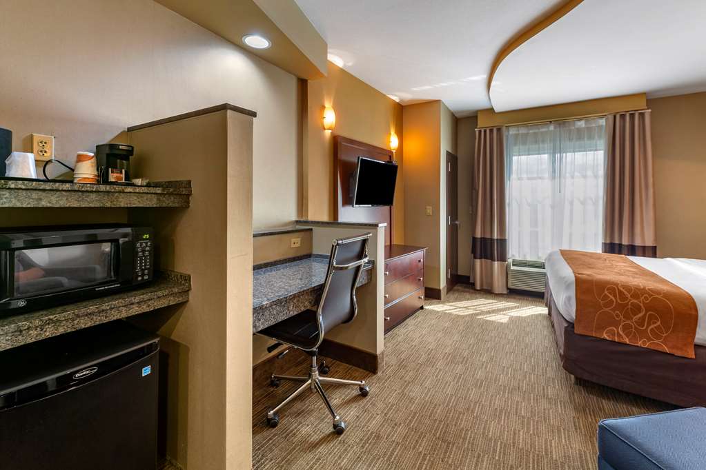 Comfort Suites Perrysburg Toledo South - photo 15