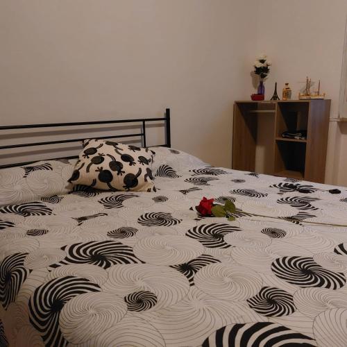 Camera Il Giarasole in Pistoia, Italy