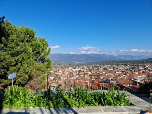 Panorama Rooms — Amfikleia — photo 5