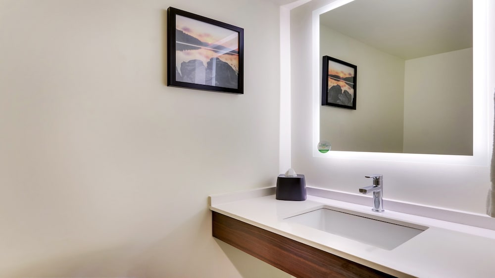 Holiday Inn Staunton Conference Center by IHG - photo 38