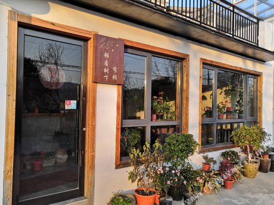 Ginkgo tree Hotel - last minute hotel in Wuxi