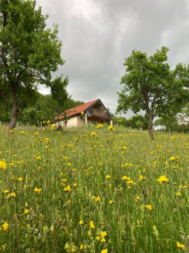 Konak Nina in Bijelo Polje, Montenegro
