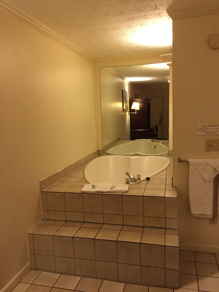 Wildwood Inn Tropical Dome & Theme Suites - photo 67
