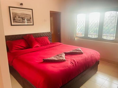 Rosewood 1 — Ooty — photo 3