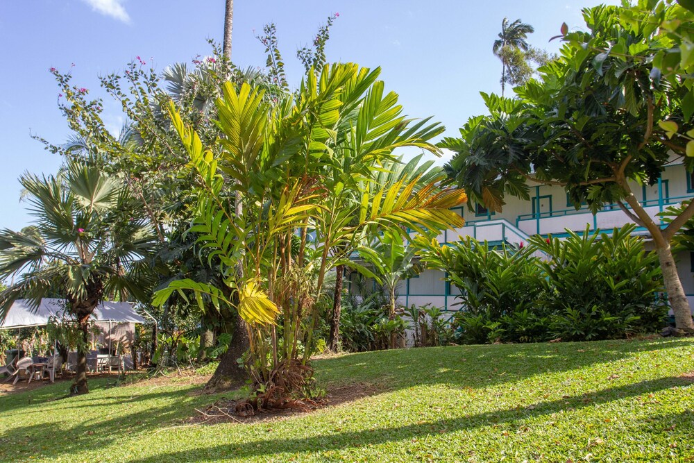 Wild Ginger Inn Hotel - photo 42