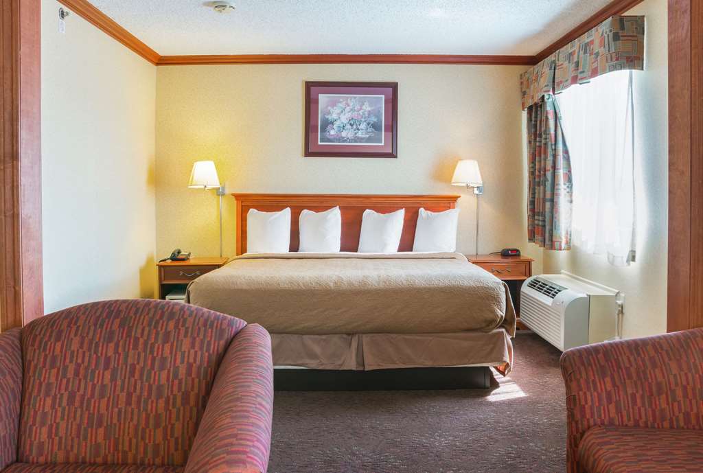 Quality Inn & Suites Detroit Metro Airport - photo 10