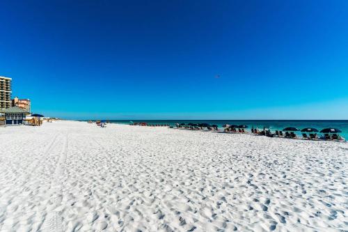 Augusta 552 Sand Dollar Links - photo 42
