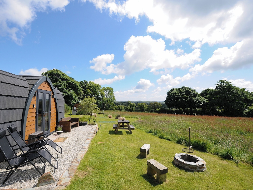 Hornbeam in Launceston, United Kingdom