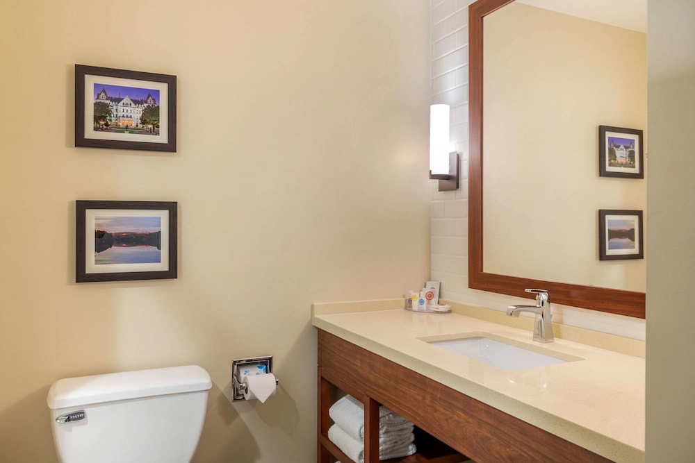 Comfort Inn & Suites Schenectady Scotia - photo 31