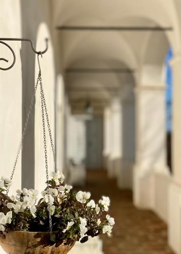Schloss Welsdorf — Fuerstenfeld — photo 4
