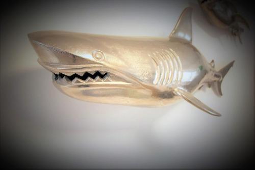 Ferienhaus Zum Haifisch in Sankt Peter-Ording, Germany